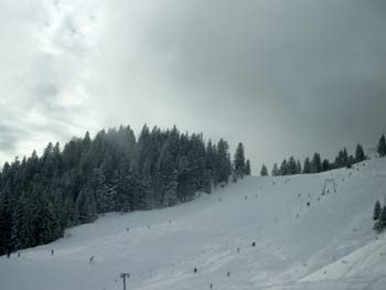 SIMG0787