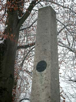 SIMG0842