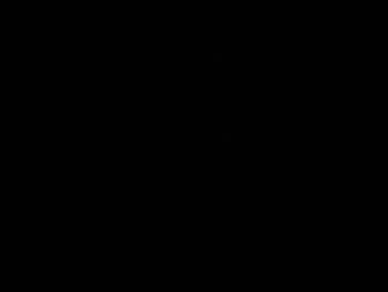 SIMG0861