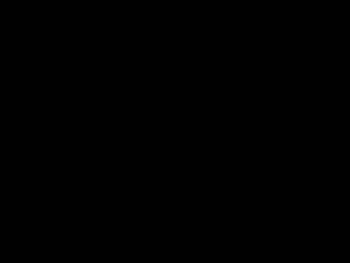 SIMG0862